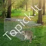 Humaniška gyvūnų gaudyklė-narvas, 106,7 x 40,6 x 45,7 cm - Image 7