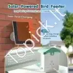 Išmanioji paukščių lesyklėlė su 2K HD kamera ir saulės moduliu (žalia) - Image 5