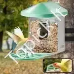 Išmanioji paukščių lesyklėlė su 2K HD kamera ir saulės moduliu (žalia) - Image 8