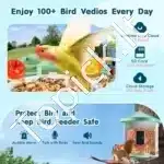 Išmanioji paukščių lesyklėlė su 2K HD kamera ir saulės moduliu (žalia) - Image 3