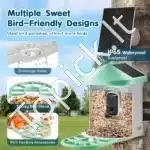 Išmanusis paukščių lesyklėlės stebėjimo centras su kamera ir saulės kolektoriais (žalias) - Image 6