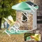 Išmanusis paukščių lesyklėlės stebėjimo centras su kamera ir saulės kolektoriais (žalias) - Image 8