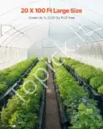 Juoda statybinė plėvelė mulčiavimui 6,96 x 30,48 m, 0,25 mm storio - Image 3