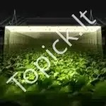 LED Auginimo Lempa 300W – Viso Spektro Apšvietimas - Image 7