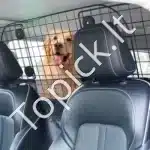 Reguliuojama automobilio pertvara augintiniams saugioms kelionėms 900 x 416 mm - Image 8