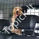 Universalios reguliuojamos apsauginės grotelės automobiliui (968-1565 x 405-650 mm) - Image 8