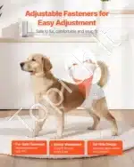 Vienkartinės šunų sauskelnės kalytėms – M dydis, 144 vnt. (2 pakuotės po 72) - Image 5