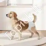 Vienkartinės šunų sauskelnės kalytėms – M dydis, 144 vnt. (2 pakuotės po 72) - Image 8