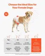 Vienkartinės šunų sauskelnės kalytėms – M dydis, 144 vnt. (2 pakuotės po 72) - Image 2