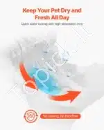 Vienkartinės šunų sauskelnės kalytėms – M dydis, 144 vnt. (2 pakuotės po 72) - Image 3