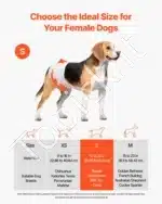 Vienkartinės šunų sauskelnės kalytėms – S dydis, 144 vnt. (2 pakuotės po 72) - Image 2