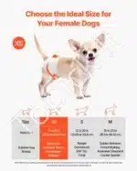 Vienkartinės šunų sauskelnės kalytėms – XS dydis, 144 vnt. (2 pakuotės po 72) - Image 2