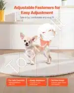 Vienkartinės šunų sauskelnės kalytėms – XS dydis, 96 vnt. (2 pakuotės po 48) - Image 5