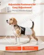 Vienkartinės šunų sauskelnės patinams – S dydis, 144 vnt. (2 pakuotės po 72) - Image 5