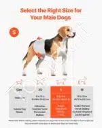 Vienkartinės šunų sauskelnės patinams – S dydis, 144 vnt. (2 pakuotės po 72) - Image 2