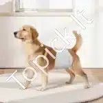 Vienkartinės šunų sauskelnės patinams – XS dydis, 96 vnt. (2 pakuotės po 48) - Image 8