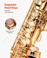 Saksofono komplektas, Alto E-flat, auksinis, 66x21x12 cm - Image 4