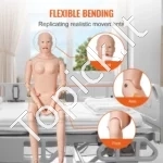 Slaugos Simuliatorius, Unisex Modelis (Vyras/Moteris), Viso Kūno, Anatomija, 175 x 44 x 23 cm (PVC) - Image 4