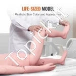 Slaugos Simuliatorius, Viso Kūno Vyro Modelis, Natūralaus Dydžio, PVC Medžiaga – (Mokomasis Manekenas Paciento Priežiūrai, Kateterizavimas) - Image 3