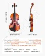 Smuiko komplektas, 4/4 dydis, eglė ir klevas, blizgi ruda, 600x210x85 mm - Image 7