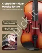 Smuiko komplektas, 4/4 dydis, eglė ir klevas, blizgi ruda, 600x210x85 mm - Image 2