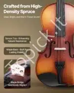 Smuiko komplektas, 4/4 dydis, eglės ir klevo mediena, matinis rudas, 600x210x85 mm - Image 2