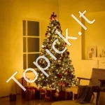 Dirbtinė Kalėdinė Eglutė su 550 LED, Pūkuota, Žalia, 228 cm Aukštis - Image 6
