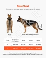 Didelių Šunų Vežimėlis Galinėms Kojoms 21,7–39,9 kg Reguliuojamas - Image 3
