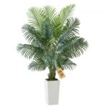 Dirbtinė Areca palmė su baltu vazonu, 1829 mm (6 pėdos)
